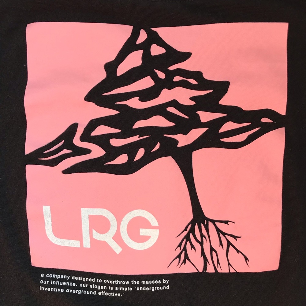 LRG Tee - Picture 5 of 6